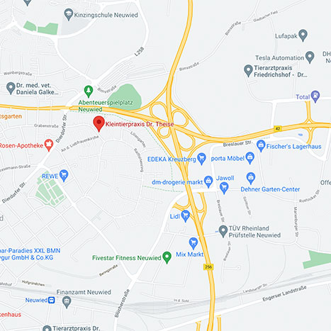 GoogleMaps